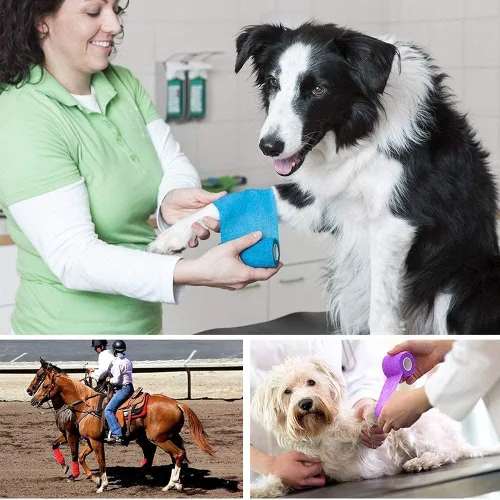 Vista 9 de Lotfancy 10 rollos de envoltura veterinaria autoadhesiva, vendaje cohesivo de 2 pulgadas para el cuidado de heridas, cinta elástica para mascotas