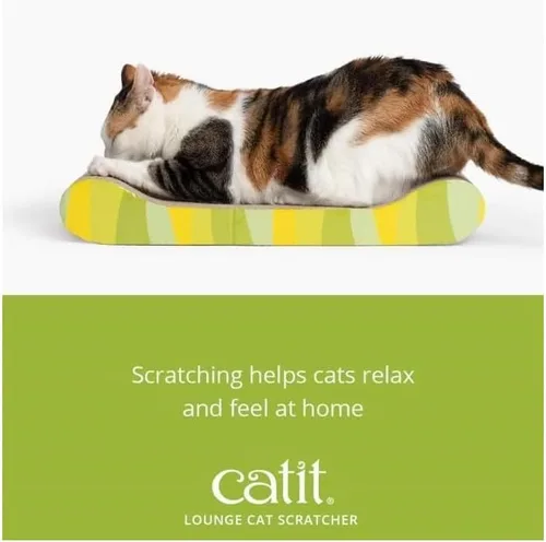 Vista 4 de Catit Rascador moderno con menta de gato
