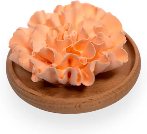 Vista 14 de SINT Piedra aromática de diatomita, difusores de cerámica no eléctricos y fragancia de aromaterapia, difusores de cerámica blanca para decoración