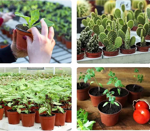 Vista 7 de 100 macetas de plástico para vivero, macetas de plástico reutilizables para suculentas, plántulas, esquejes, trasplante, plántulas con agujeros