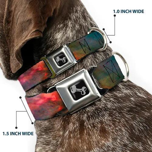 Vista 2 de Buckle-Down Collar de perro con hebilla de cinturón de seguridad Supernova Space Collage, multicolor, 1 pulgada de ancho, se adapta a cuello de 9 a