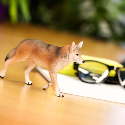 Vista 6 de Safari Ltd. Figura de juguete Coyote – Figura detallada de plástico de 6.5 pulgadas – Divertido juguete educativo para niños, niñas y niños a partir