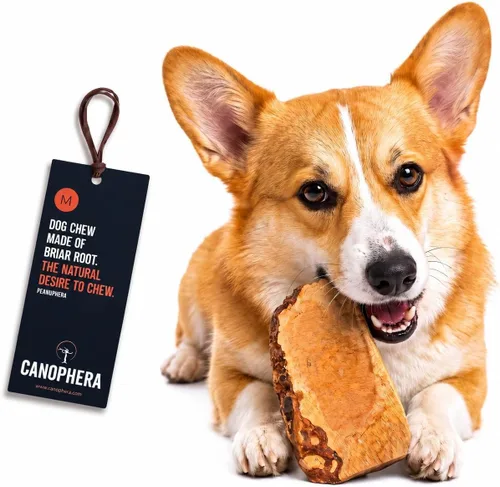 Vista 10 de Canophera Raíz masticable para perros, madera de brezo natural para dientes y encías saludables, tamaño pequeño