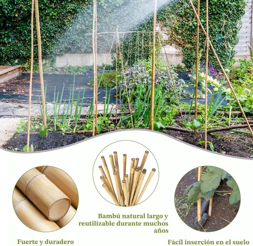 Vista 3 de Estacas para plantas de 3 pies, estacas de bambú natural, 25 estacas