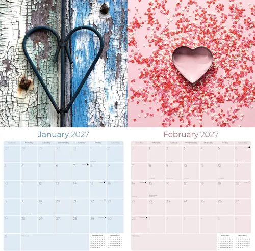 Vista 110 de Calendario de grises africanos 2025 2026 – Planificador mensual de pared de aves africanas – 12 x 18 pulgadas (abierto), calendario de pared