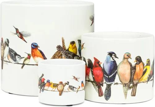Vista 2 de Abbott Collection 27-PARADE/085 - Maceta LG, 1 EA, pájaros con alambre, grande