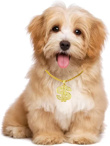 Vista 6 de FUNKA Collar de perro con cadena dorada ajustable de eslabones cubanos con colgante de signo de dólar de cristal, cadena de joyería para mascotas