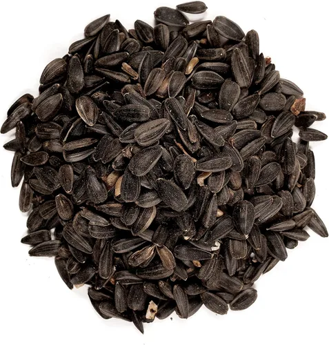 Vista 3 de Wagner's 52023 Semillas de Girasol de Aceite Negro Alimento para Aves Silvestres, Bolsa de 5 Libras