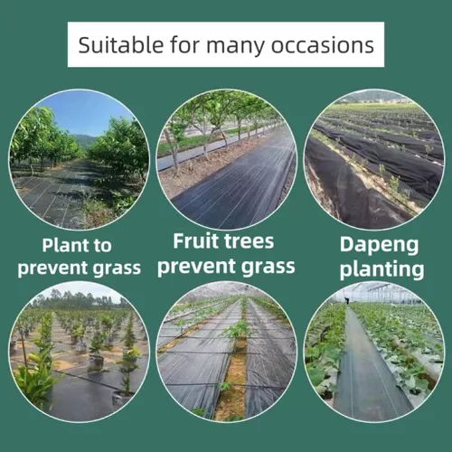 Vista 5 de Paquete de 25 grapas para paisajismo galvanizadas negras de 4 pulgadas, calibre 11, estacas de jardín, clavijas antioxidantes, estacas de tierra