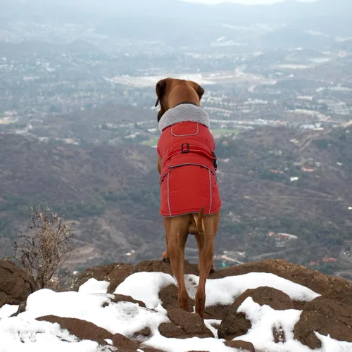 Vista 7 de Lelepet Abrigo cálido para perros – Chaleco reflectante impermeable de vellón con hebilla ajustable de gancho y bucle, chaqueta de invierno Rojo