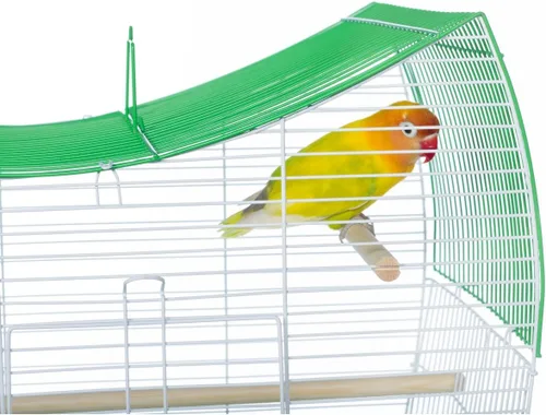 Vista 9 de Prevue Pet Products South Beach Wave Top - Jaula para pájaros, verde lima (SP50081)