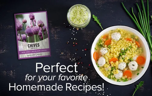 Vista 7 de Las semillas de cebollino para plantar son una reliquia, variedad de hierbas sin OMG, semillas de hierbas de cebolla común, ideales para jardinería
