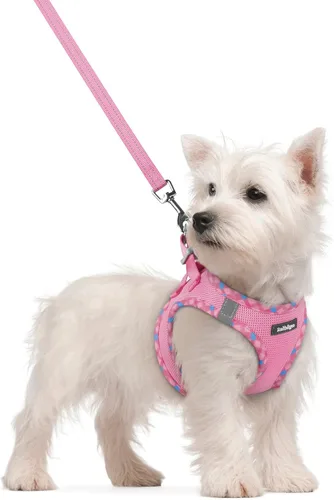 Vista 189 de rabbitgoo Arnés para perro de tamaño pequeño y juego de correa, chaleco Cachorros de manzana