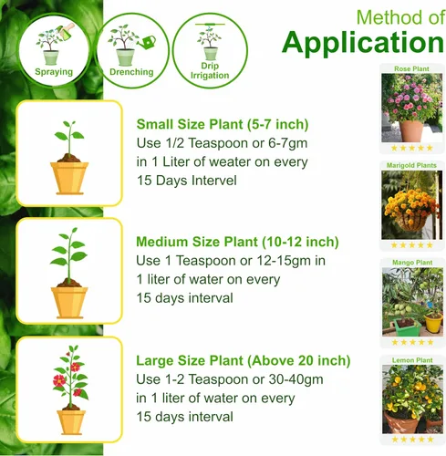 Vista 6 de Go Garden MKP (fosfato monotásico) NPK 00 52 34 Fertilizantes para plantas, jardín y todos los cultivos 900 G Nutrición en aerosol foliar soluble