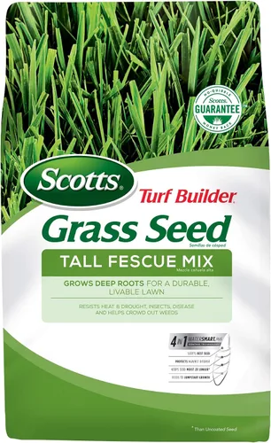 Vista 12 de Scotts Turf Builder - Mezcla de festuca alta para semillas de césped, duradera para resistir condiciones duras con nutrición para el desarrollo