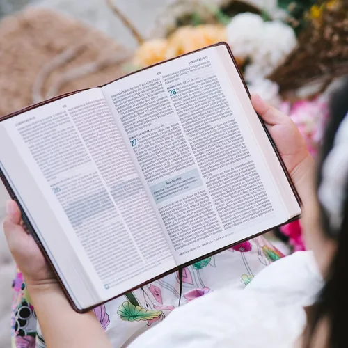 Vista 4 de STARKENBURG COMPANY Biblia Español Personalizada: crea tu propio diseño grabado personalizado con un diseñador, Letra Grande Biblia Santa