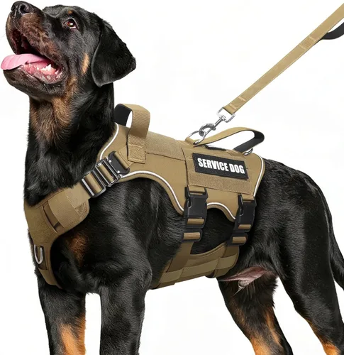 Vista 10 de Juego de chaleco y correa táctico para perro de servicio, arnés resistente con hebillas de metal para perros de tamaño mediano, chaleco ajustable
