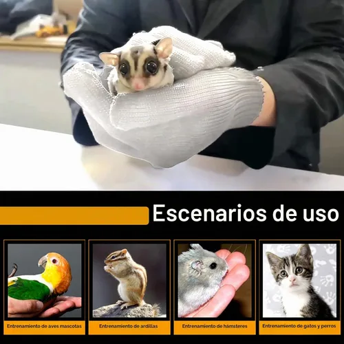 Vista 5 de QBLEEV 1 Pair Bird Handling Anti-Bite Gloves, Small Animal Bite Proof Gloves for Training