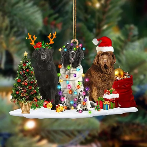 Vista 137 de Nazenti Adorno de Navidad personalizado con amigos Affenpinscher – Adorno de perro personalizado para amantes de las mascotas, acrílico plano