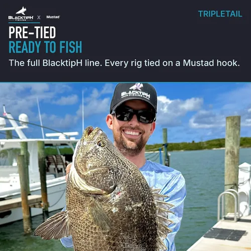 Vista 3 de Mustad BlacktipH Live Bait Large Pre-Tied Rig 150lb Mono Hook Saltwater