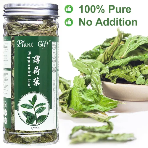 Vista 5 de Plant Gift Té 100% menta, té de menta, hojas de menta, té saludable, bolsas de té de menta orgánica, flor saludable, té de menta 0.7 onzas