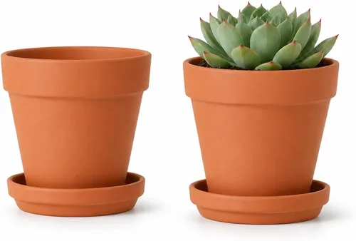 Vista 7 de vensovo Macetas de terracota y arcilla de 6 pulgadas para plantas