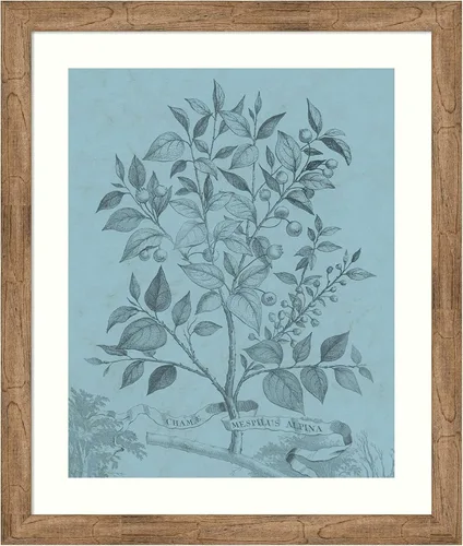 Vista 11 de Amanti Art Vision Studio - Póster enmarcado de 24 x 20 pulgadas, diseño botánico en V verde azulado por Vision Studio, arte de pared de naturaleza