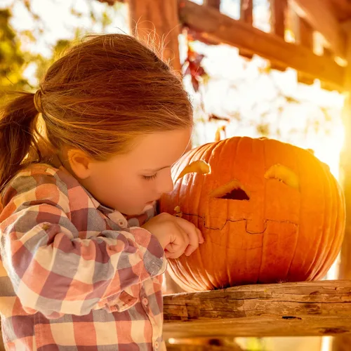 Vista 5 de Pumpkin Masters, juego de tallado, 1 unidad.