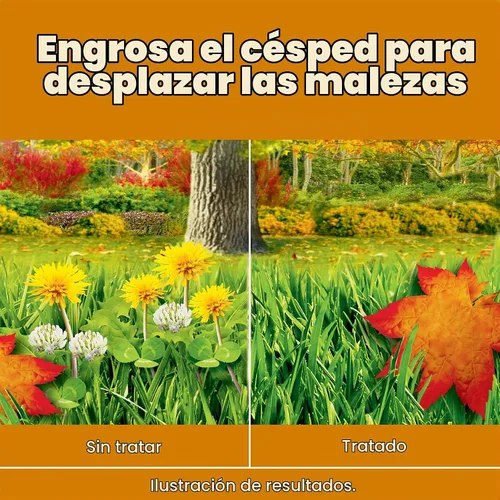 Vista 4 de Scotts Turf Builder WinterGuard Fall Weed & Feed3, Herbicida Plus Fertilizante de Otoño, 4,000 pies cuadrados, 11.43 libras. Weed Killer Plus