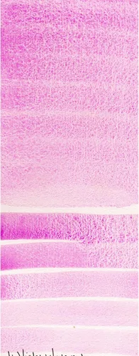 Vista 2 de DANIEL SMITH 284600030 - Tubo de pintura de acuarela extrafino, 0.5 fl oz, violeta cobalto