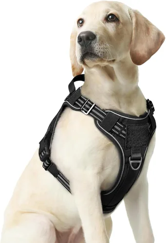 Vista 47 de rabbitgoo - Arnés para perros pequeño sin tirones, chaleco táctico de servicio con Molle y asa de control, arnés militar ajustable y reflectante