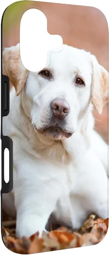 Vista 3 de Labrador Retriever Dog Lover - Carcasa para iPhone 17