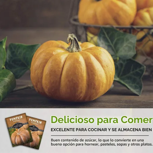 Vista 6 de Semillas de calabaza de cuento de hadas para plantar - 1 paquete Heirloom Musquée de Provence Pumpkins for Storage, Pies, Soups, Fall Décor