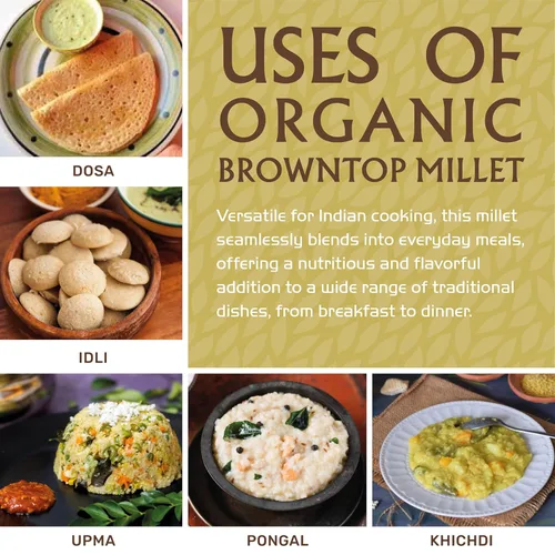Vista 5 de Jiva Organics Browntop Millet Bolsa de 2 libras Grano entero, sin gluten y orgánico Superalimento rico en proteínas y fibra para una cocina