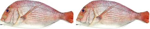Vista 8 de Wrapables Estuche de lápices con cremallera de cara de perro y gato (juego de 2)