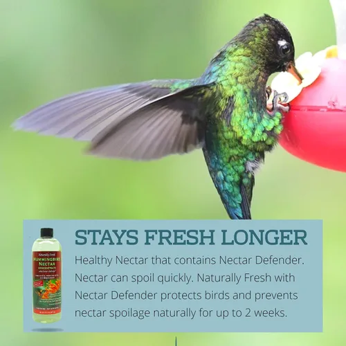 Vista 4 de Néctar de colibrí naturalmente fresco con defensor de néctar – Néctar de larga duración para comederos de colibríes – Concentrado fácil de usar