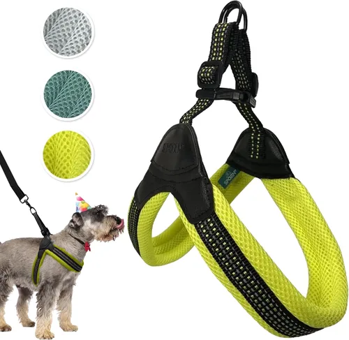 Vista 9 de Sporn Arnés de malla de fácil ajuste para perro de tamaño pequeño, color turquesa, tela suave, de nailon, sin estrangulamiento, arnés para perro