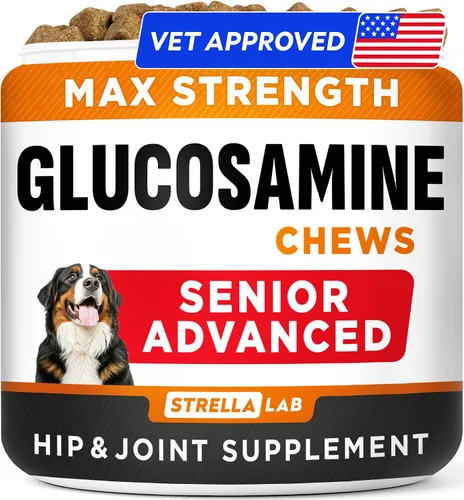Vista 12 de STRELLALAB Suplemento avanzado de glucosamina para cadera y articulaciones para perros y caballos mayores, mejillón y colágeno de labios verdes