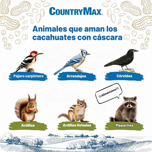 Vista 3 de Cacahuetes crudos CountryMax de 25 libras para vida silvestre y ardillas