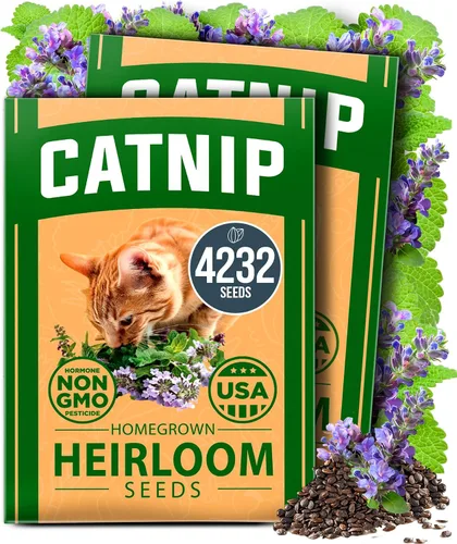 Vista 39 de HOME GROWN - Semillas de zinnia rosadas – 600 Zinnias Luminosa de 0.02 oz, semillas de flores anuales fáciles de cultivar para plantar al aire libre