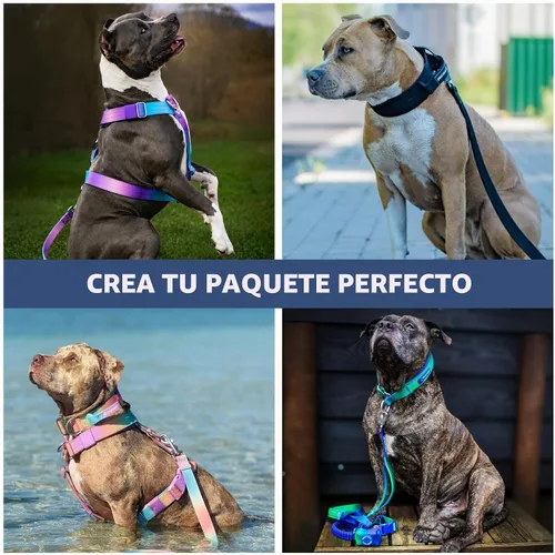 Vista 6 de Spark Paws - Correa para perro manos libres, cinturón elástico para correr y caminar Shock-Absorbing Bungee Stretch, Heavy-Duty Clip Doubles as