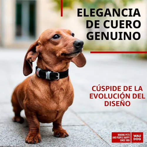 Vista 2 de WAUDOG Collar de cuero de larga duración para perros grandes, medianos y Negro
