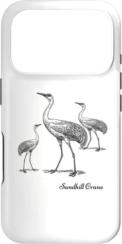 Vista 30 de Sandhill Crane Bird Ornithology Case for iPhone 17