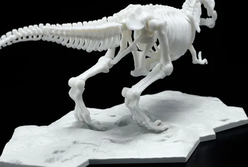 Vista 6 de Bandai Hobby - Tyrannosaurus, Bandai Spirits Limex Skeleton Dinosaur Model Kit
