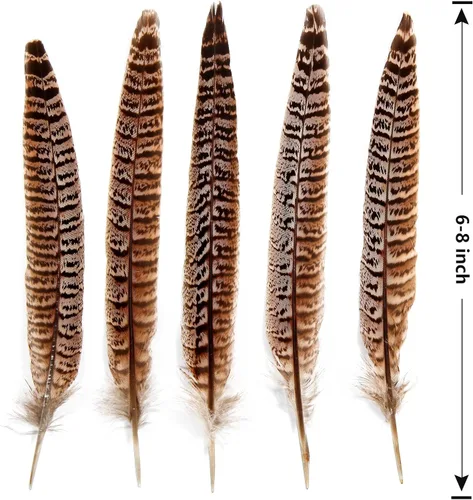 Vista 2 de THARAHT 24 plumas de faisán femenino, plumas naturales de 6 a 8 pulgadas, 5.9-7.9 in para manualidades, hogar, boda, fiesta, actuación, decoración