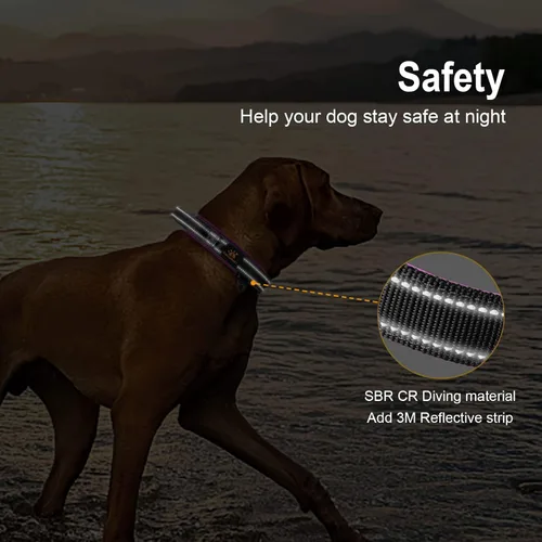 Vista 5 de DAGANXI Collar para perro, ajustable, de neopreno suave, acolchado, transpirable, tira reflectante, collar de nailon para perros pequeños, medianos