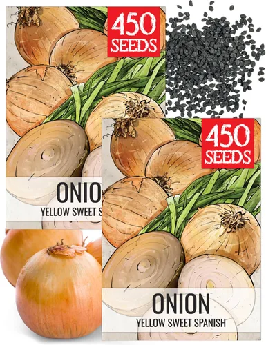 Vista 21 de Seed Needs Semillas de cebolla para plantar cebollas amarillas dulces españolas de día largo – Semillas de verduras sin OMG y sin tratar