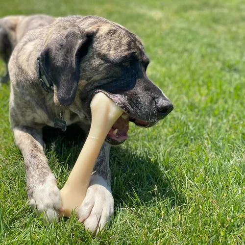 Vista 2 de Nylabone Big Chew Knuckle Bone Power - Juguete masticable para perros grandes, juguetes duraderos para masticadores agresivos, juguetes masticables