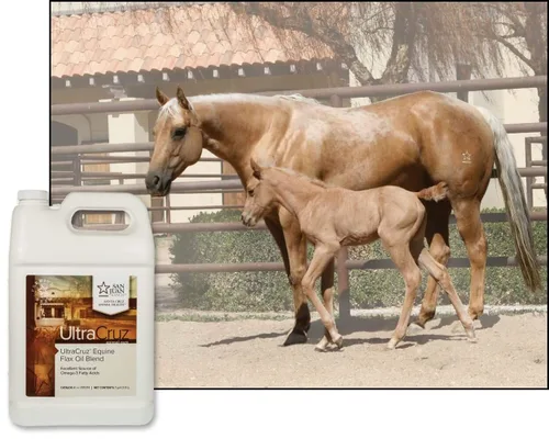 Vista 3 de UltraCruz - sc-395351 Suplemento de mezcla de aceite de lino para caballos y ganado, 1 galón