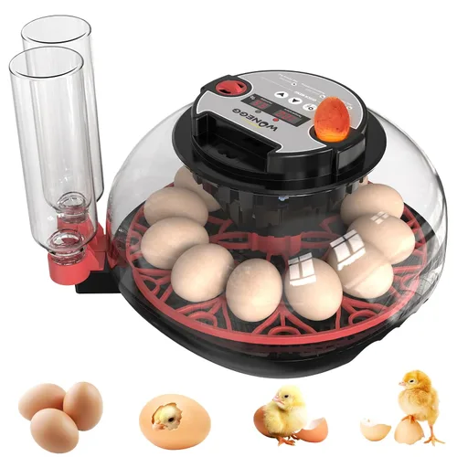 Vista 10 de Incubadora para incubar huevos con giro automático de huevos y control de temperatura/humedad, incubadora de 18 huevos para huevos